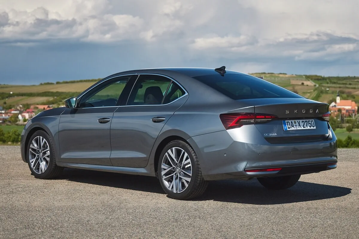 Skoda Octavia (2026) rear view